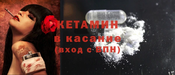 шишки Беломорск