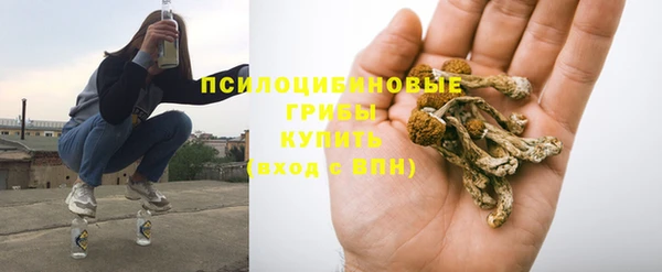 PSILOCYBIN Балахна