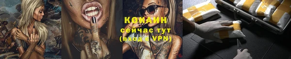 шишки Беломорск