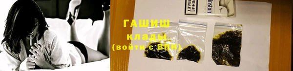 гидра Богданович