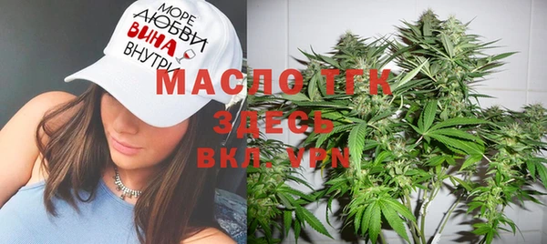 шишки Беломорск