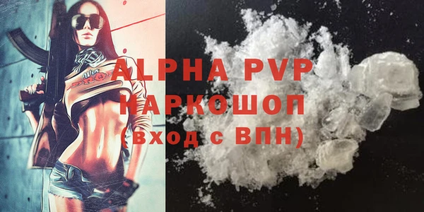 прущие грибы Белокуриха