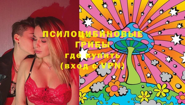 гидра Богданович