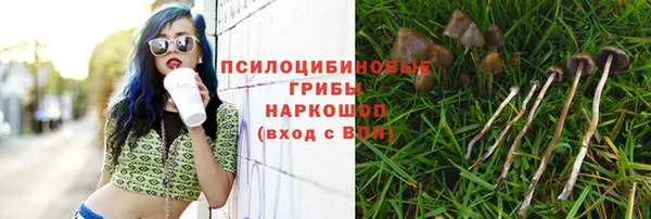 гидра Богданович