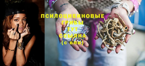 твердый Богородск